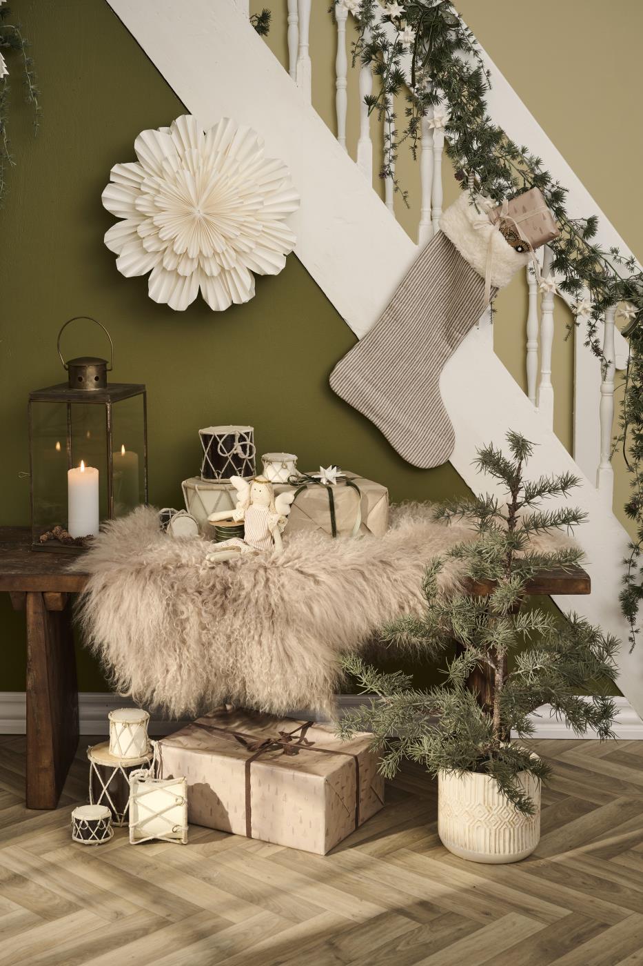 Drzewko Cedr w doniczce IB Laursen Stillenat - obrazek 2